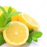 ＬＥＭＯＮ92