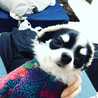 EMiRy☆moro