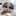 犬神家の一族 犬神家の一族