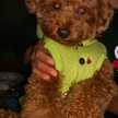 ☆panky☆