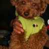☆panky☆