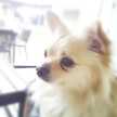 ☆☆KEIKO☆☆