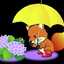 water_rain