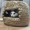 え（ΦAΦ）みみ