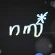 nm＊