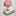 きのこのぱんこ きのこのぱんこ