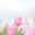 NてんちゃんH