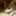 まろにゃんにゃん まろにゃんにゃん