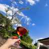 winelover
