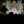 haruch_10