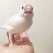 ☆mamypoko☆