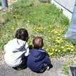 もちぺち