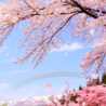 今年は痩せるぞぉ！