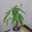 クック8THT7M☆