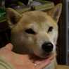 とーるママ