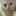 すみえっち すみえっち