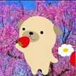 クックたまちゃん☆