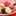 《ひよこ》 《ひよこ》