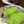 クック7FNN0F☆