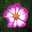 クック1UOTCP☆