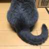りょうやのすけ