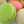 クック9JTHXZ☆