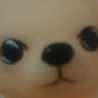 櫻らら 櫻らら