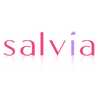 salviaサルビア