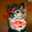 mocolucy