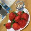 はるわかぽん