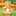 amie417 amie417