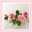 MadameーTco