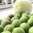 sproutnut