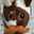 COW−COW