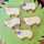 shizku522 shizku522
