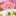 みさまるぴっぴ