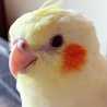 みゆひでママ