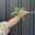 yti_home