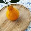 marche_b