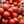 motomatos