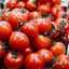 motomatos