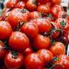 motomatos