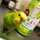 クックXNSSO8☆