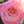 セオリツ
