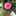 クック9ORFOD☆ クック9ORFOD☆