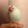 クックGYYI5Z☆ クックGYYI5Z☆