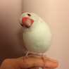 クックGYYI5Z☆