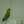 クックW7UQKZ☆
