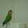 クックW7UQKZ☆ クックW7UQKZ☆