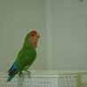 クックW7UQKZ☆